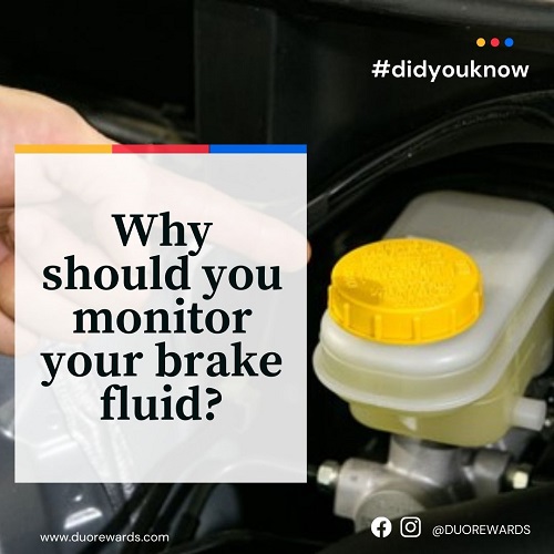 Why should you monitor your brake fluid?